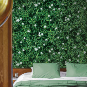 88638-1 Jasmine garden